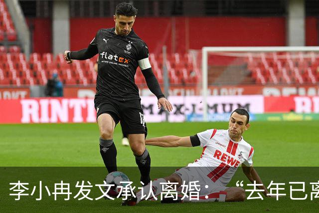 李小冉发文承认离婚:“去年已离互不牵扯,互不打扰,祝各自安好”